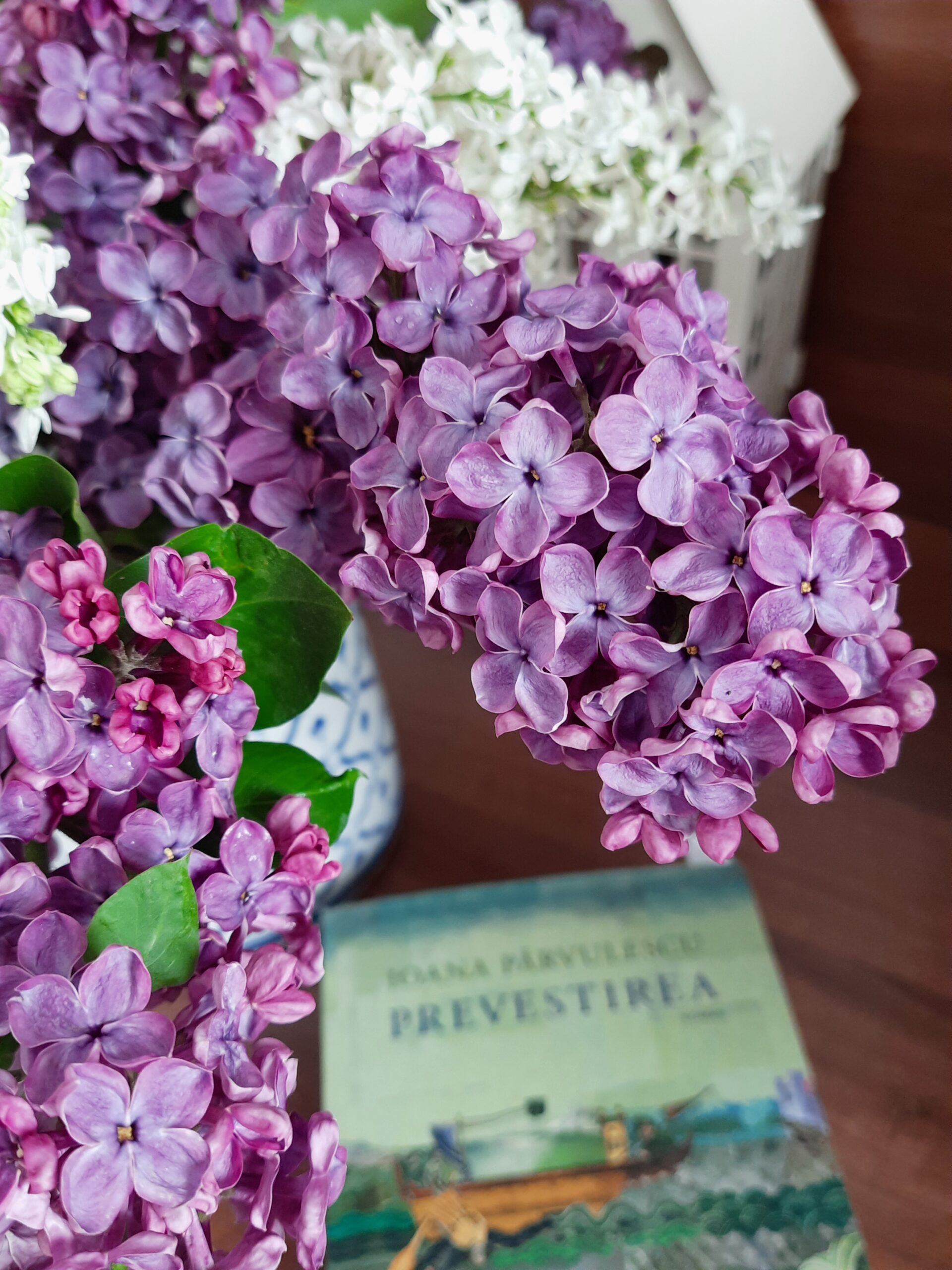 Prevestirea – Ioana Pârvulescu