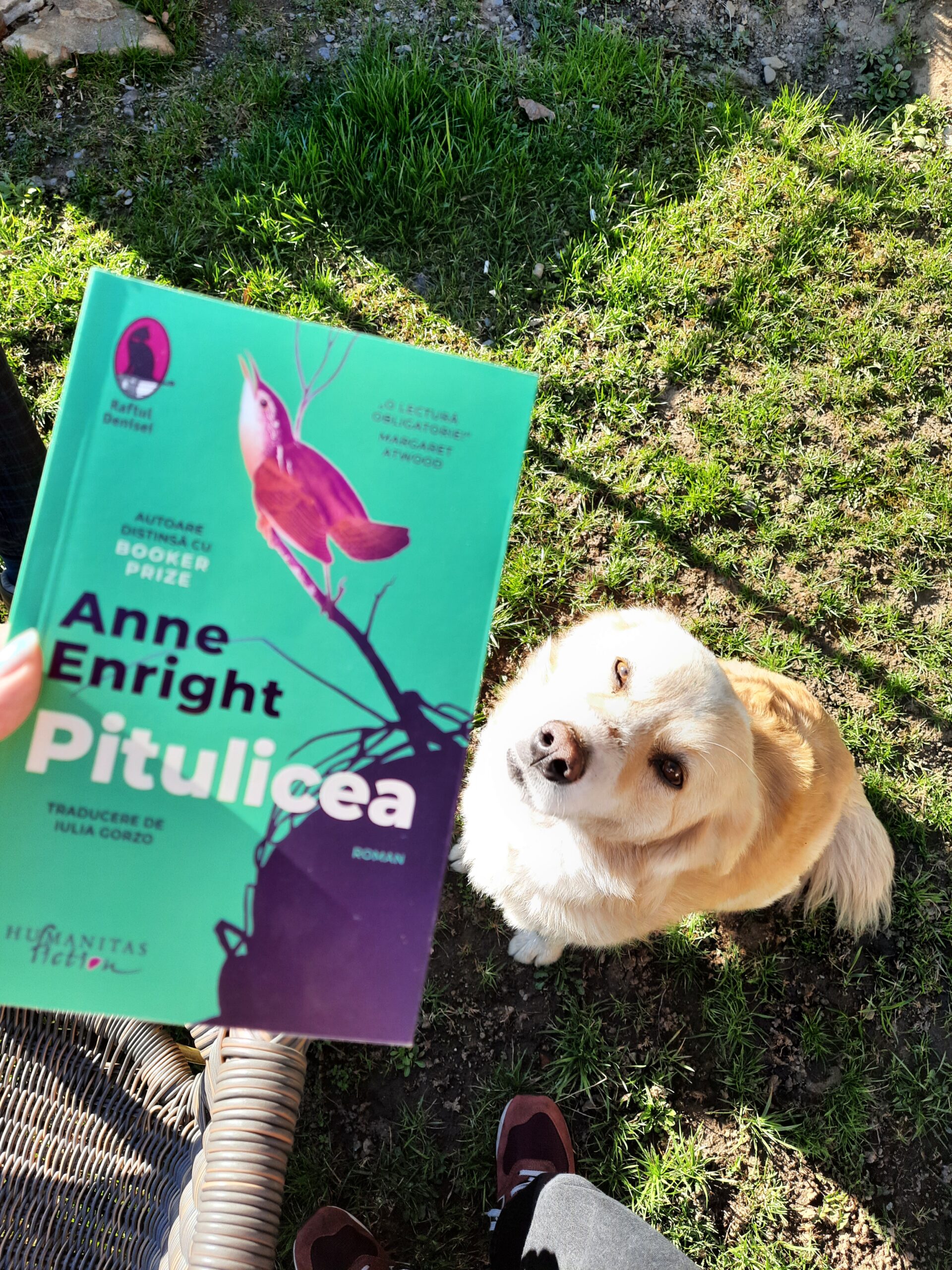 Pitulicea – Anne Enright
