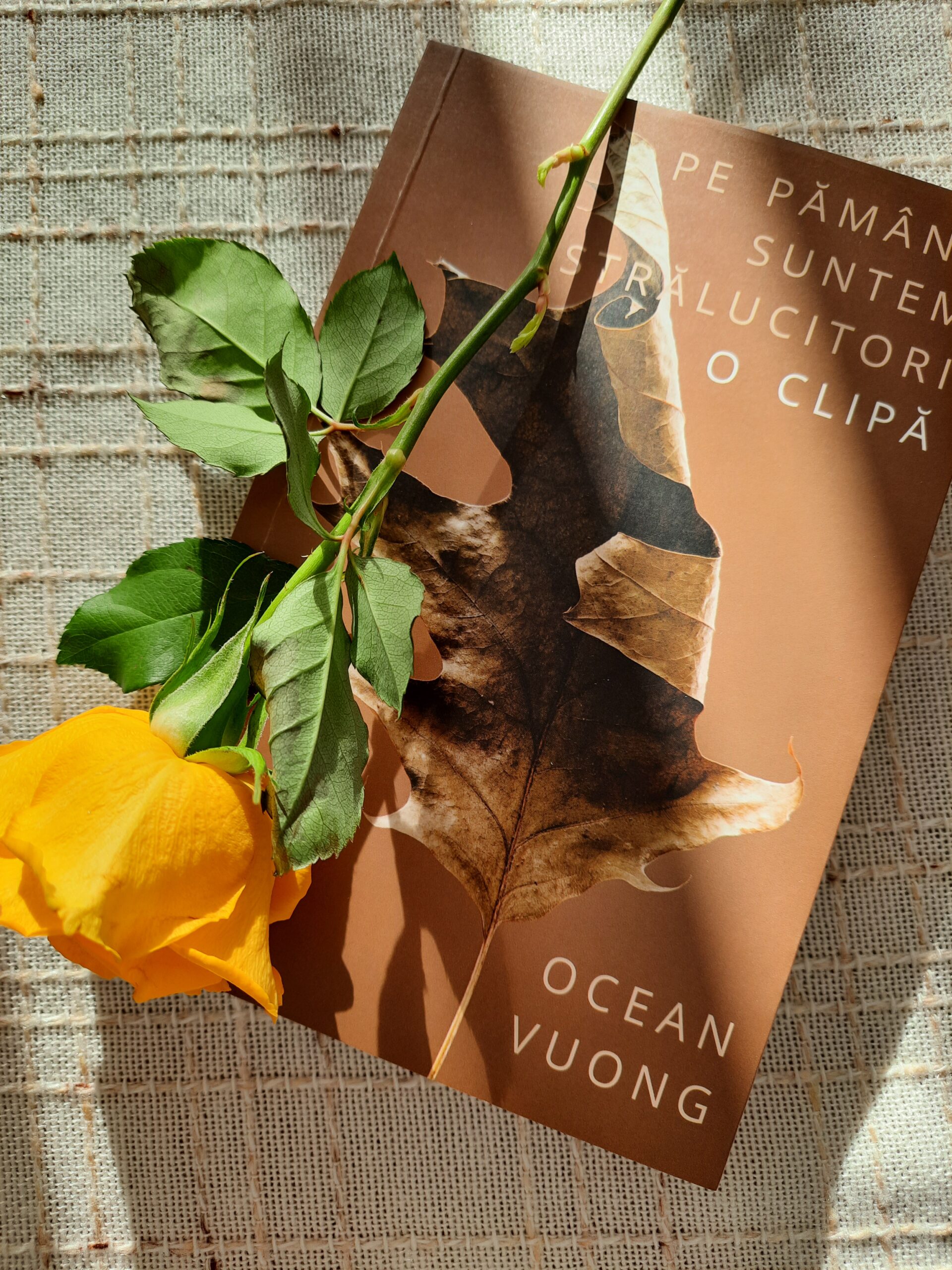 Pe pământ suntem strălucitori o clipă – Ocean Vuong